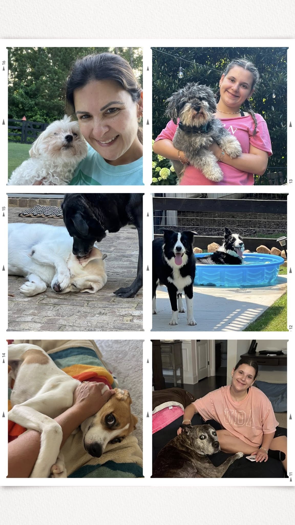 Pets we love at Pet Posse