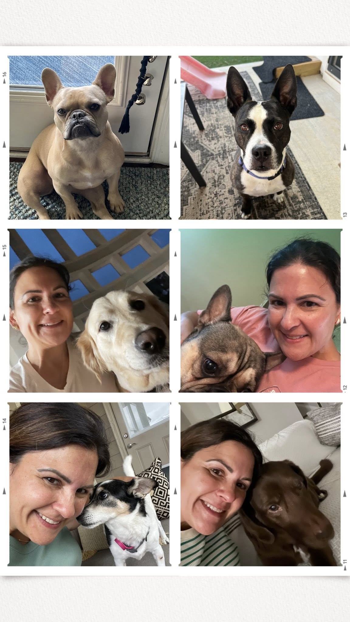 Happy pet in our care